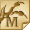 Master of online tournament "HeroesLands2" in 2008